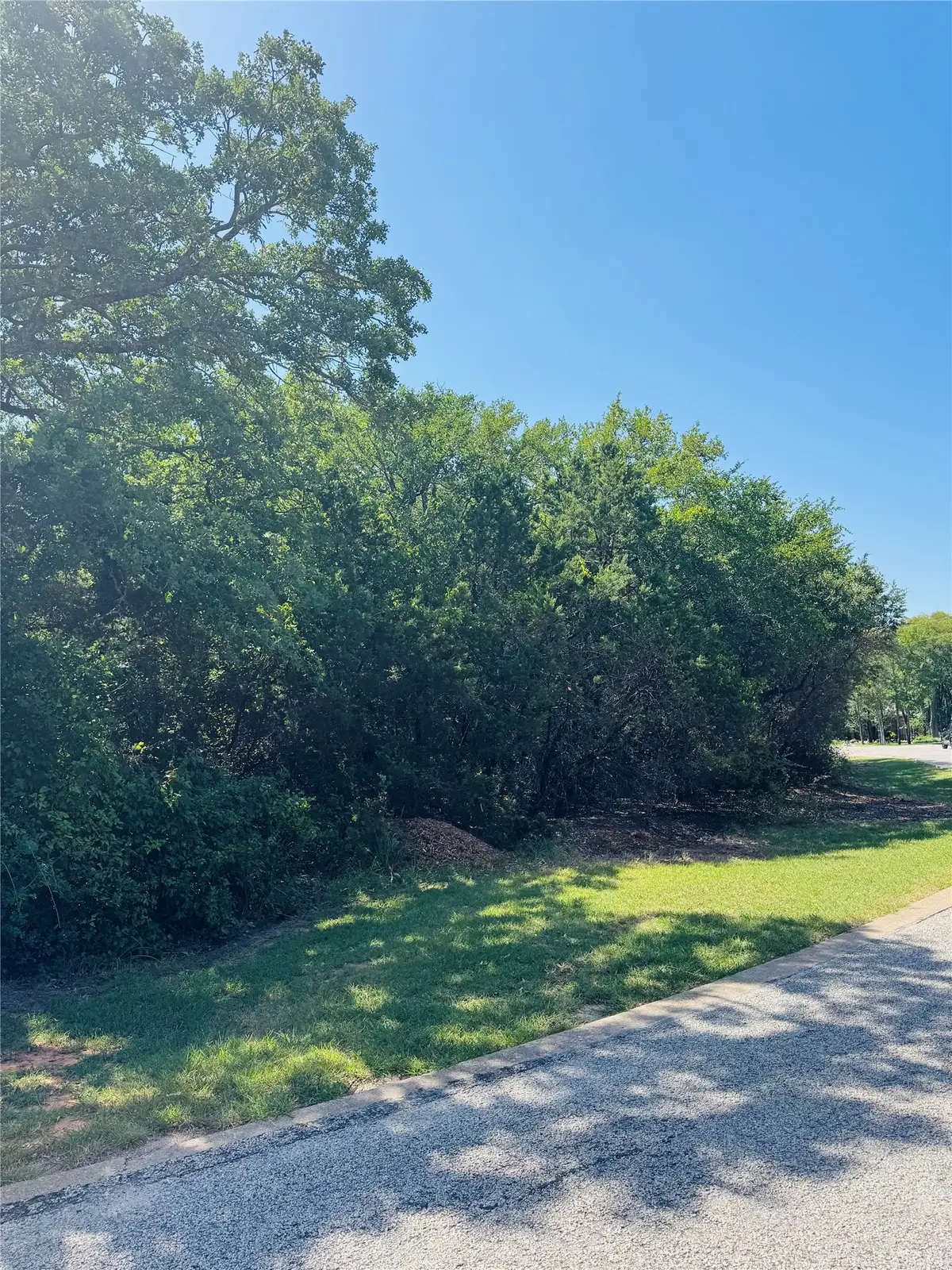 24019 Wood Hollow Drive, Whitney, TX 76692 - #1