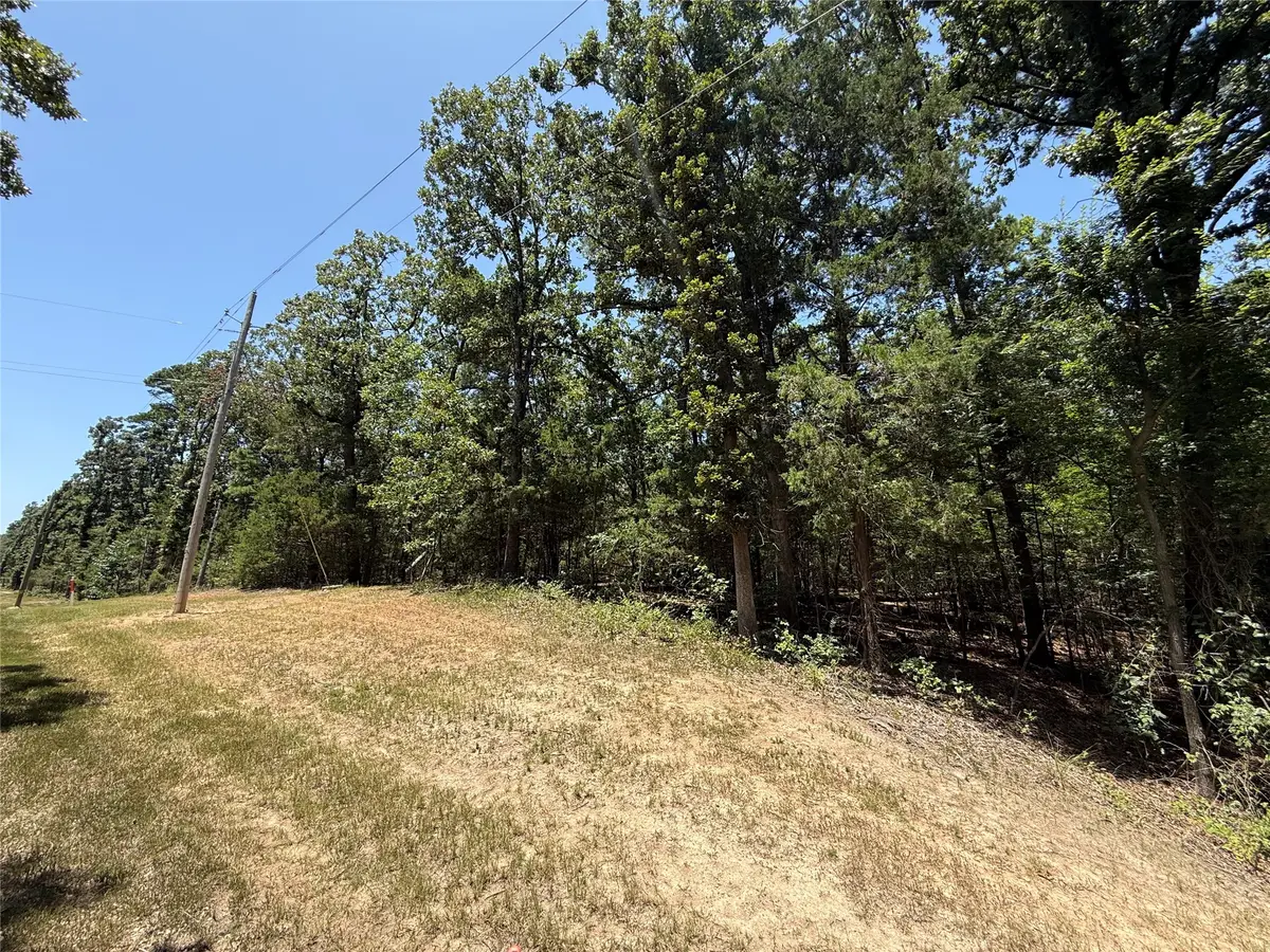 TBD Whispering Pine Trail, Mount Vernon, TX 75457 - #1
