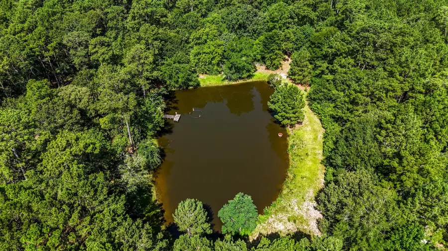 19359 Forest Road 219, Richards, TX 77873 - #2