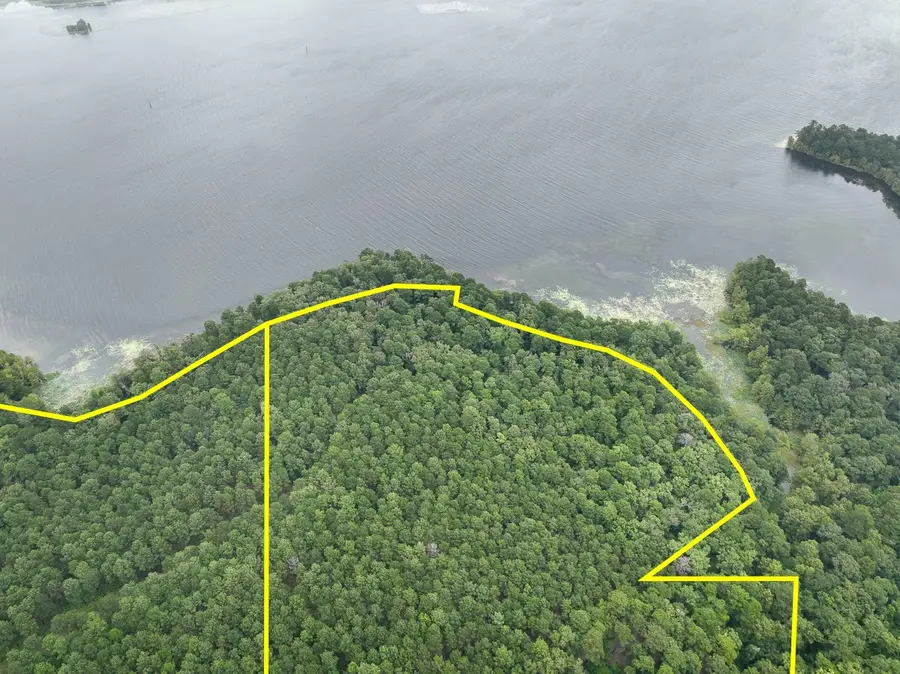 T-3 Arledge Trail/off Gateway Meadows, Hemphill, TX 75948 - #2