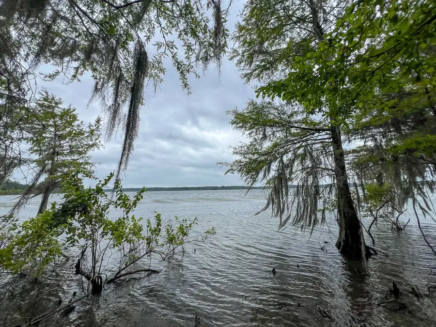 T-3 Arledge Trail/off Gateway Meadows, Hemphill, TX 75948 - #3
