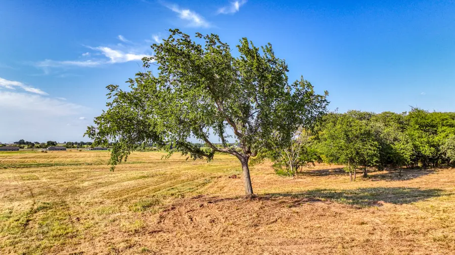 Lot 12 Three Quarter Loop, Poolville, TX 76487 - #3