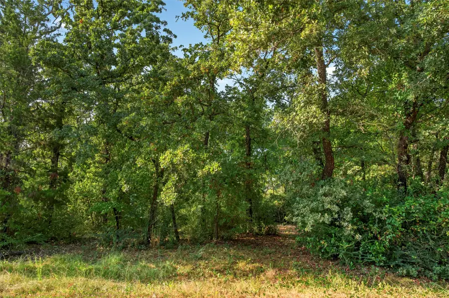 TBD Perkins Road, Krugerville, TX 76227 - #2