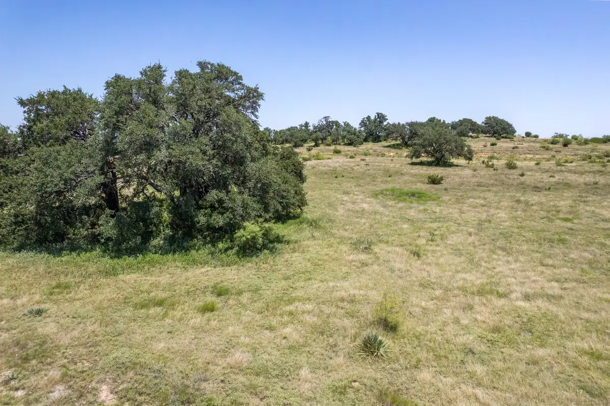178 Twisted Creek Drive, Gustine, TX 76455 - #1