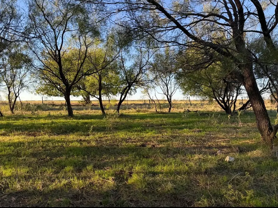 2241 Schlegel Road, Olney, TX 76374 - #2