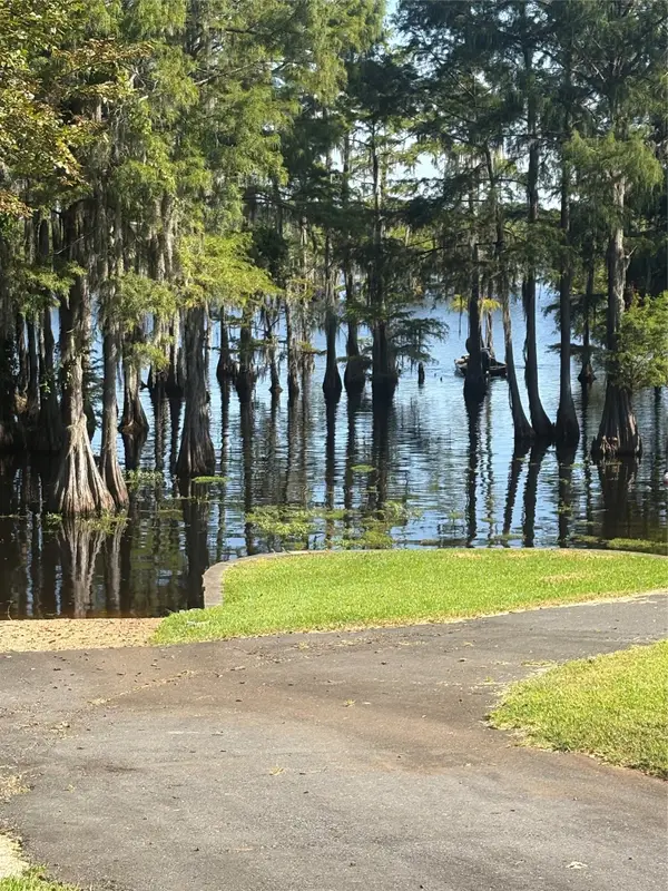 459 Dollie Moore Road, Ringgold, LA 71068