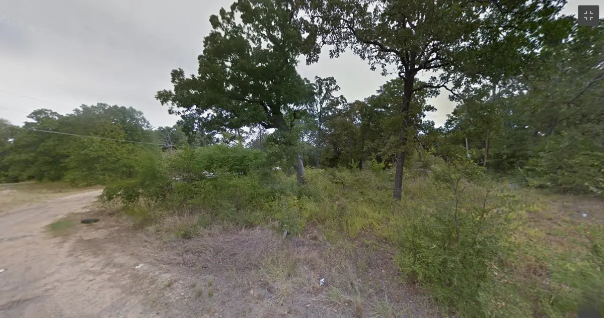 TBD Cayuga, Mabank, TX 75156 - #1