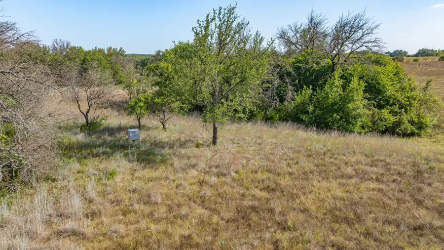 523 Ava Grace Lane, Dublin, TX 76446 - #2