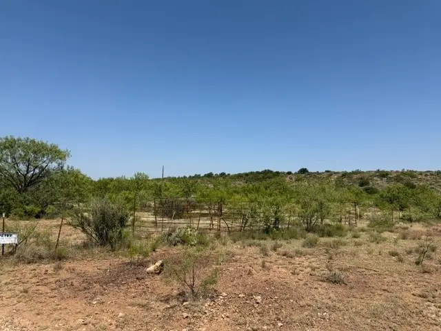 TBD C R 195, Moran, TX 76424 - #2