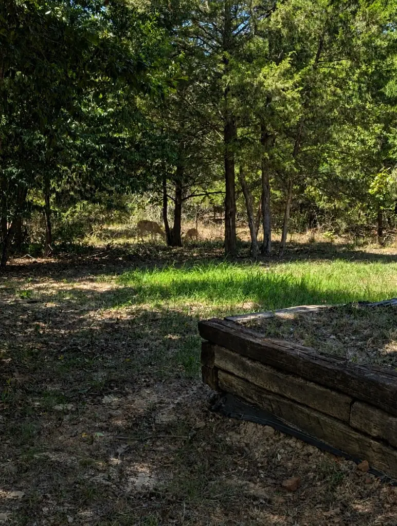 469 Holly Glen, Murchison, TX 75156 - #2