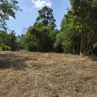 02 Percy Burns Road, Springhill, LA 71075 - #3