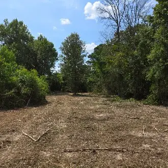 01 Percy Burns Road, Springhill, LA 71075