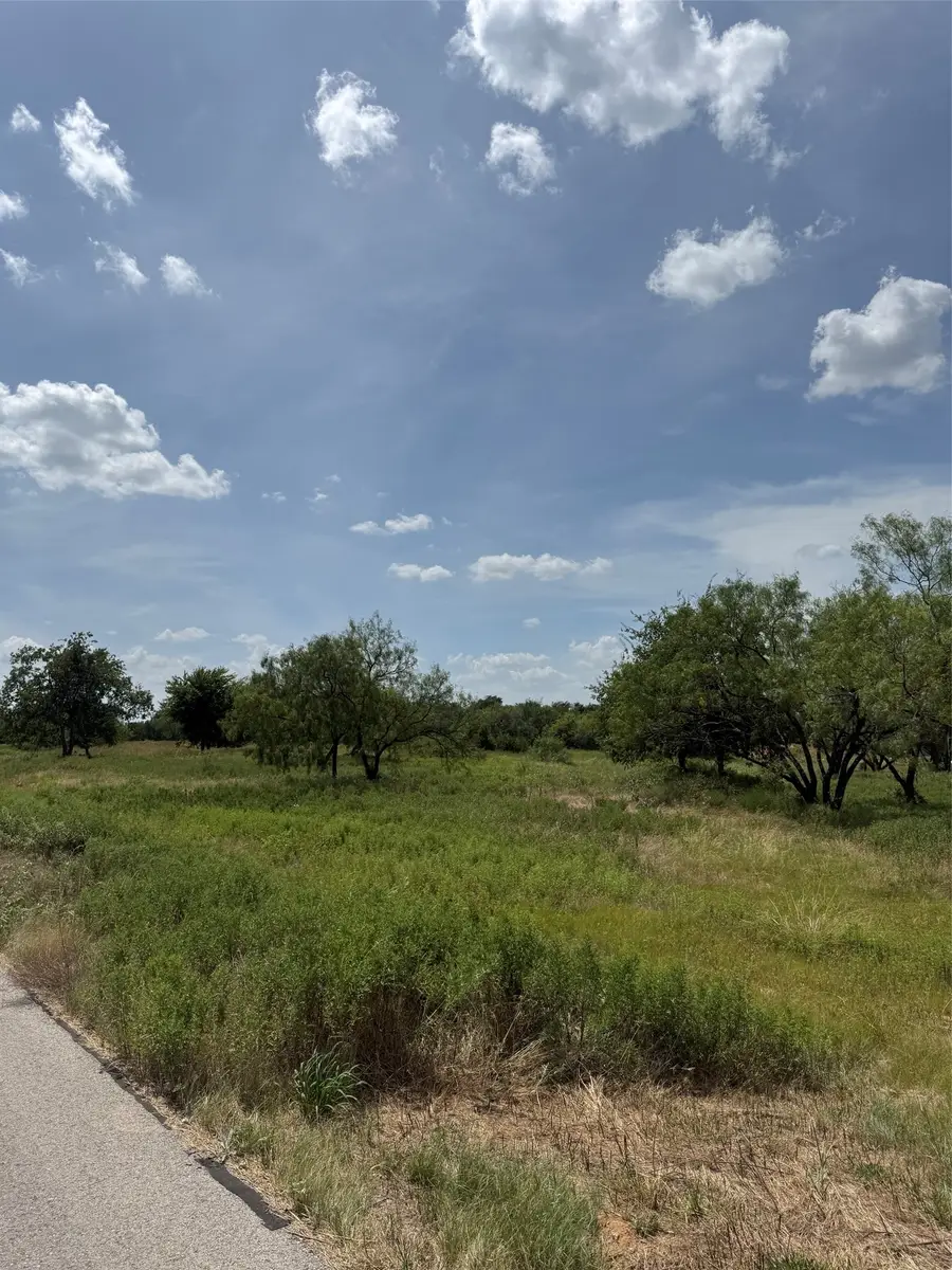3001 Wyatts Way, Weatherford, TX 76087 - #2