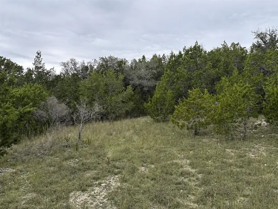 TBD Overland Stage Road, Dripping Springs, TX 78620 - #3