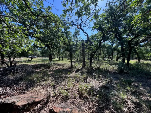 A10 Glenhollow Drive, Gordon, TX 76453