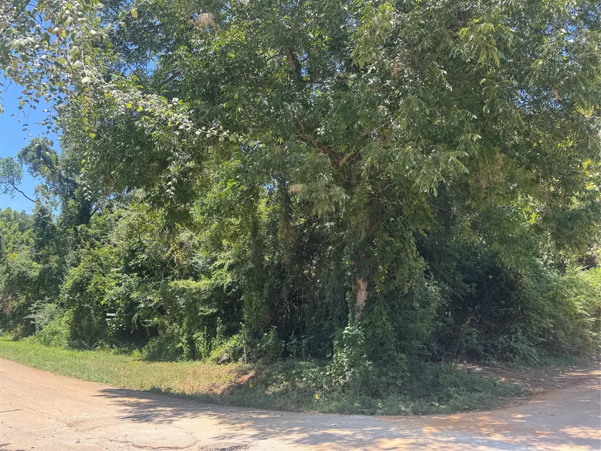 735 Devereaux, Jacksonville, TX 75766 - #1