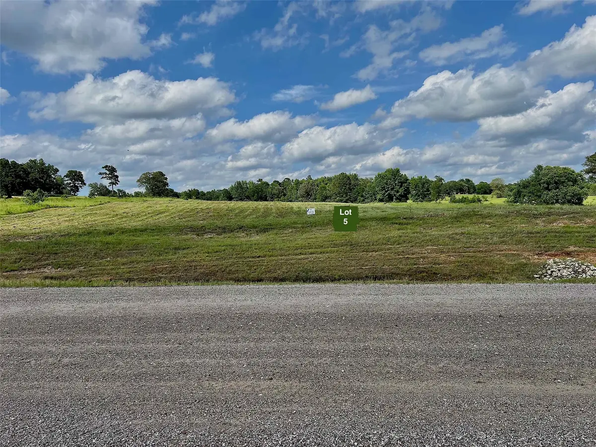 Lot 5 Pr 3398 Road, Big Sandy, TX 75755 - #1