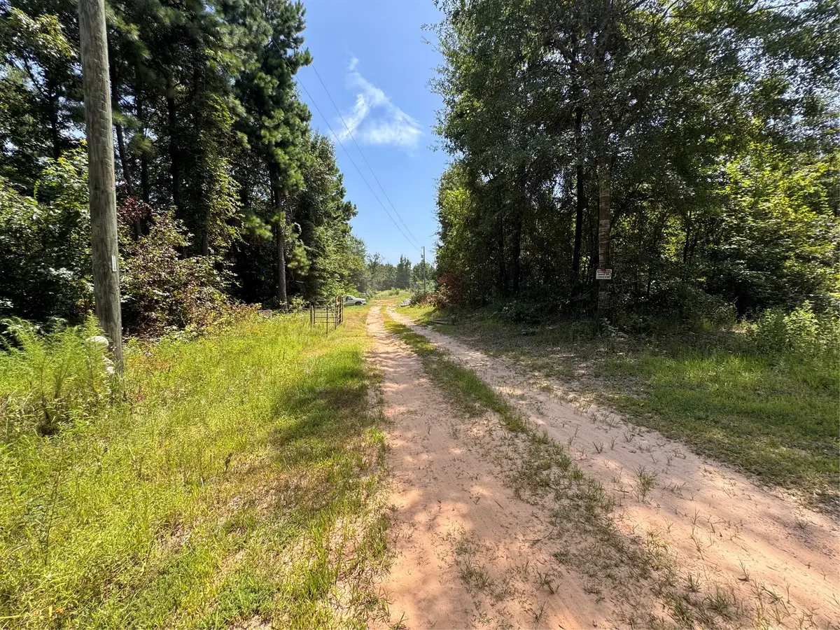 551 Pleasure Point Rd, Lake O The Pines, TX 75668 - #1