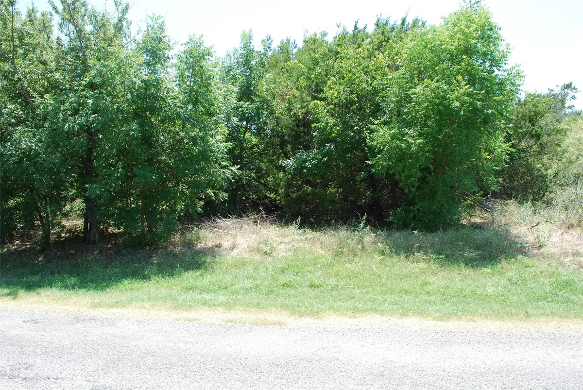 1413 Lakeside Trail, Whitney, TX 76692 - #1
