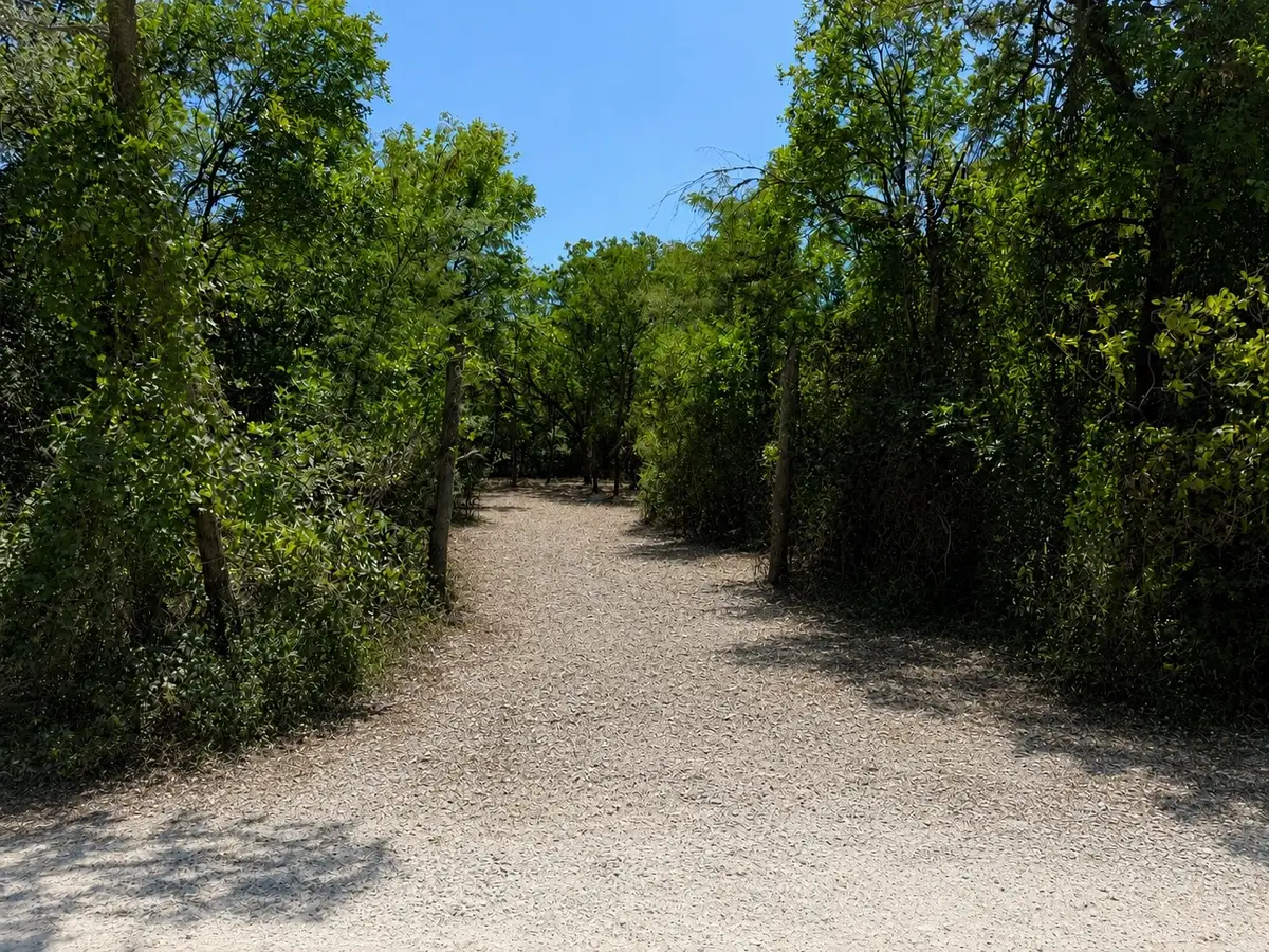 TBD39ac SW Co Rd 2340, Richland, TX 76681 - #1