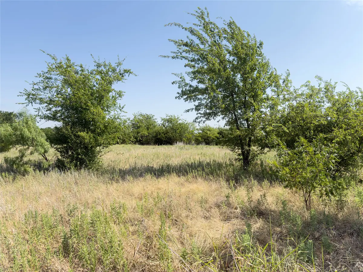 1001 Enchanted Rock Court, Graford, TX 76449 - #1