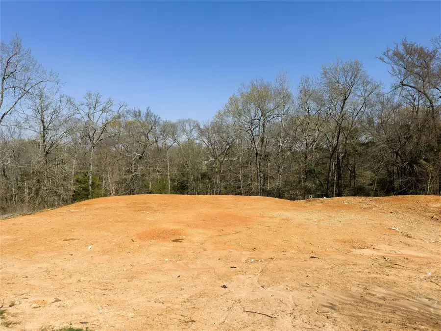 110 Elmwood Ct, Palestine, TX 75801 - #2