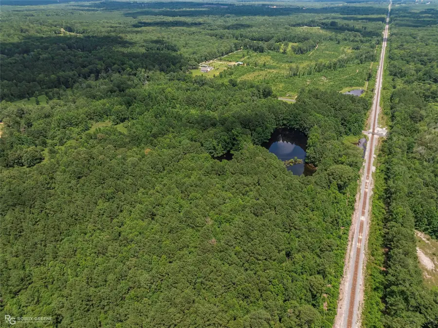 P-1 Stuckey Road, Dubberly, LA 71024 - #3