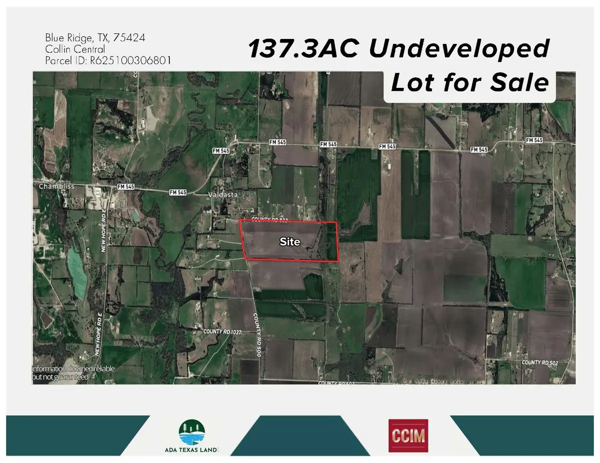 TBD 137.3AC County Road 832, Blue Ridge, TX 75424 - #1