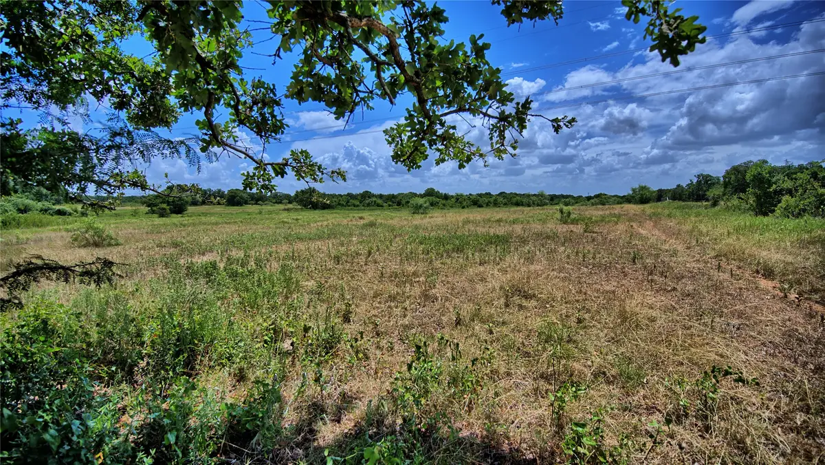 1179 County Road 1470, Chico, TX 76431 - #1
