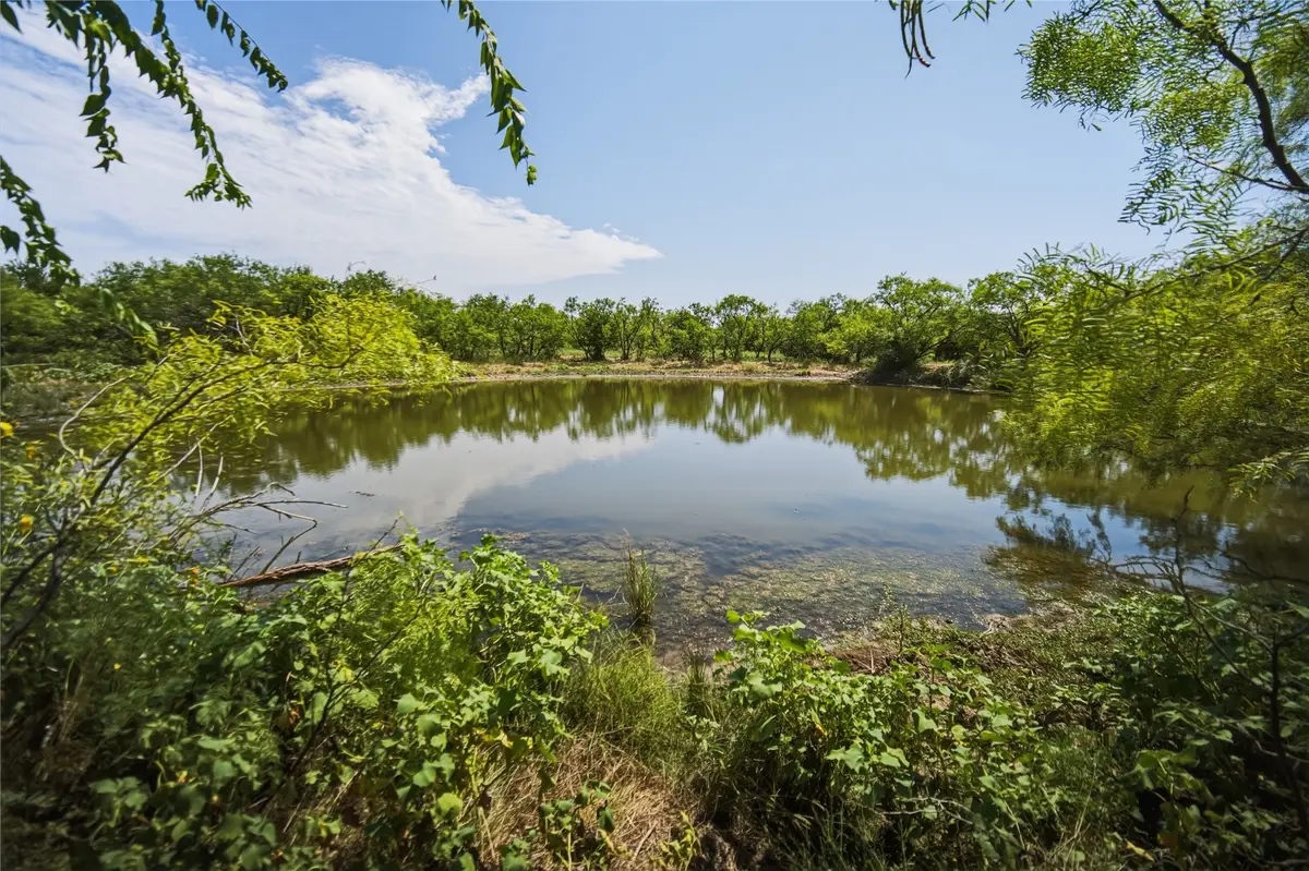 480 Acres Tucker Road, Perrin, TX 76486 - #1