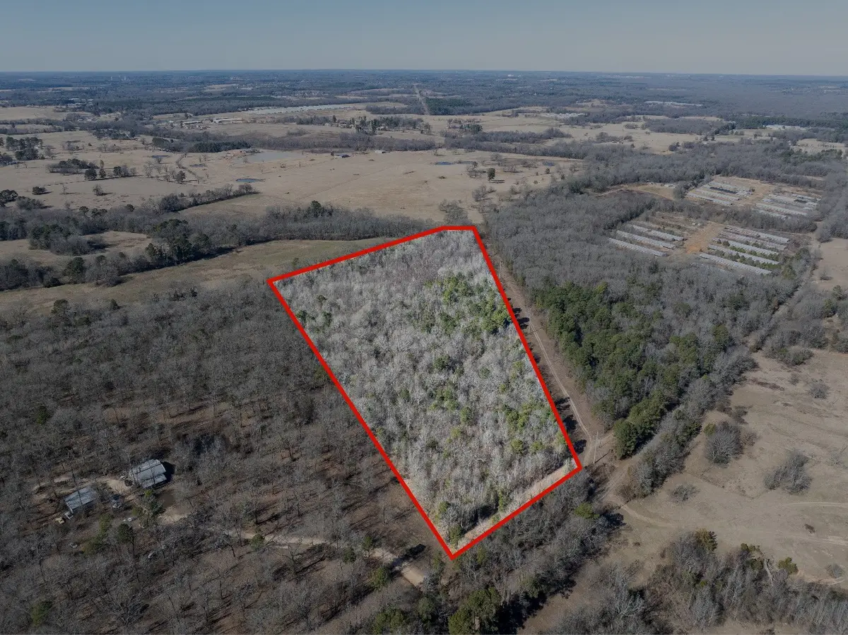 TBD County Road 4246, Pittsburg, TX 75686 - #1