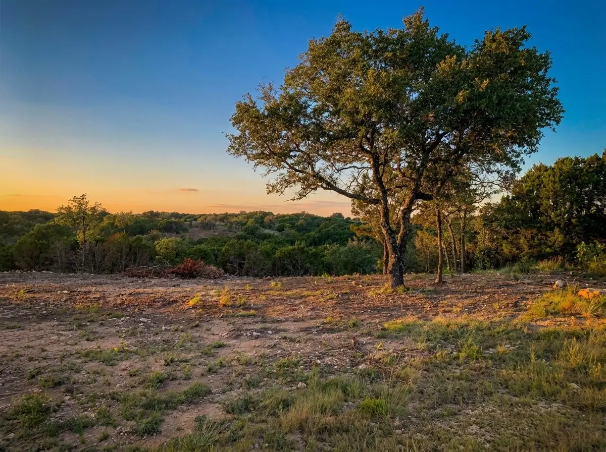 1101 Creek Crossing Road, Nemo, TX 76070 - #1