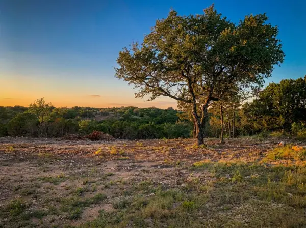 1101 Creek Crossing Road, Nemo, TX 76070