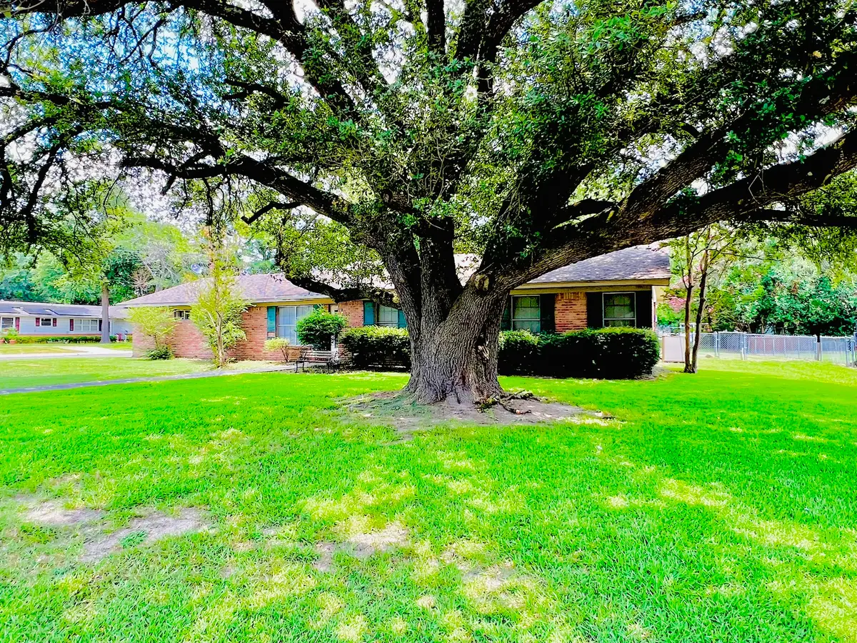 114 Harred Street, Sulphur Springs, TX 75482 - #1