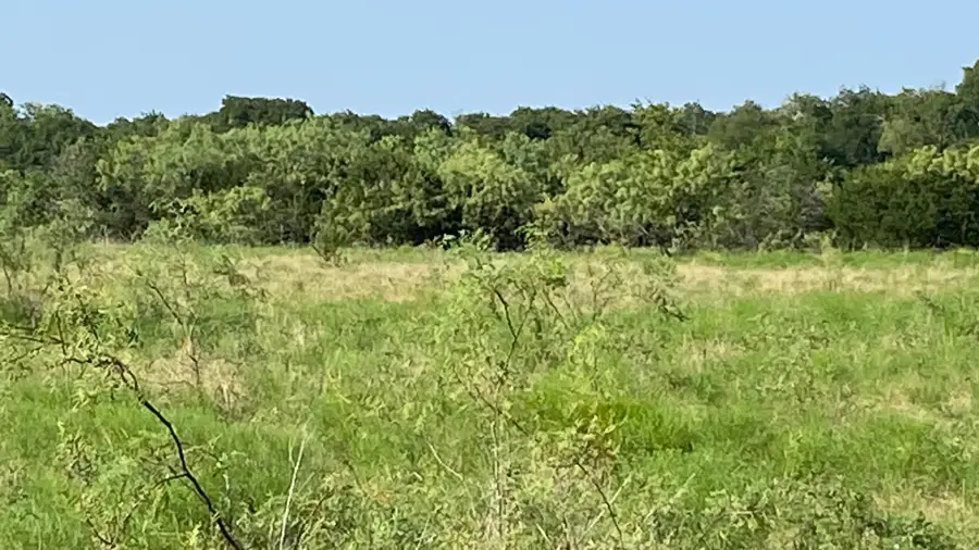 TBD Hcr 1195 Road, Blum, TX 76627 - #2