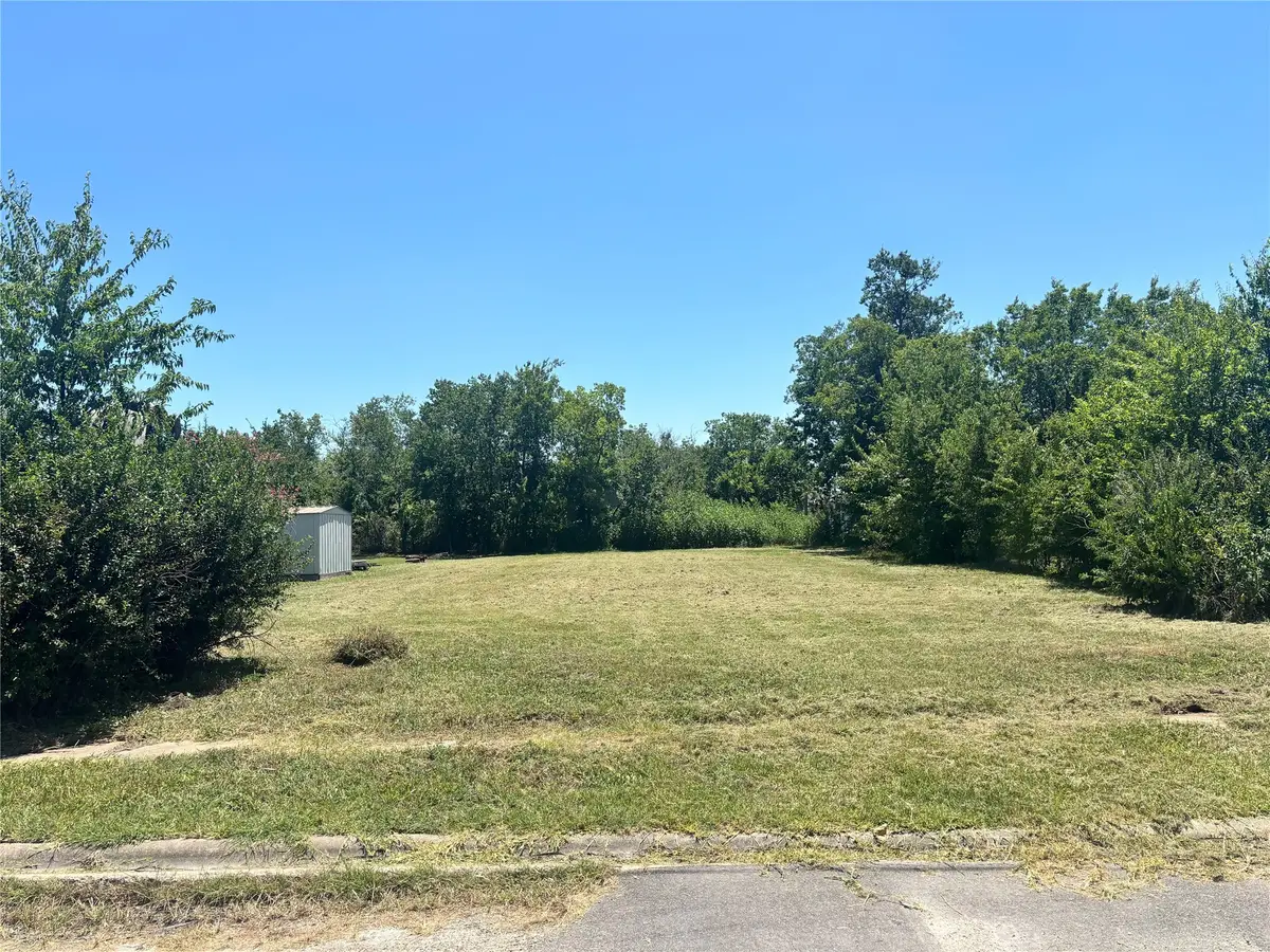 1605 E 9th Avenue, Corsicana, TX 75110 - #1