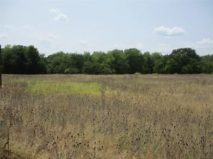 TB Fm 47, Point, TX 75472 - #2