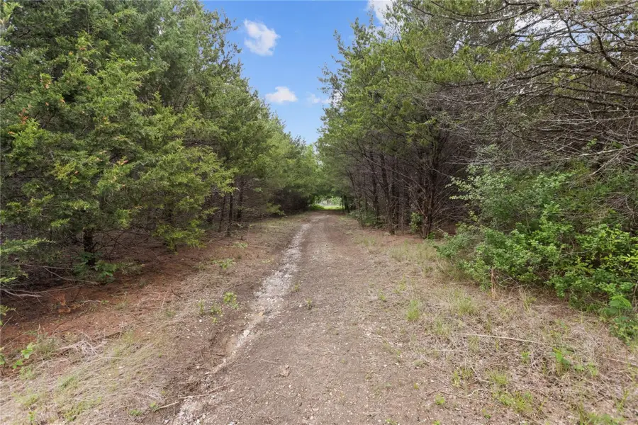 TBD County Road 3105, Bonham, TX 75418 - #2