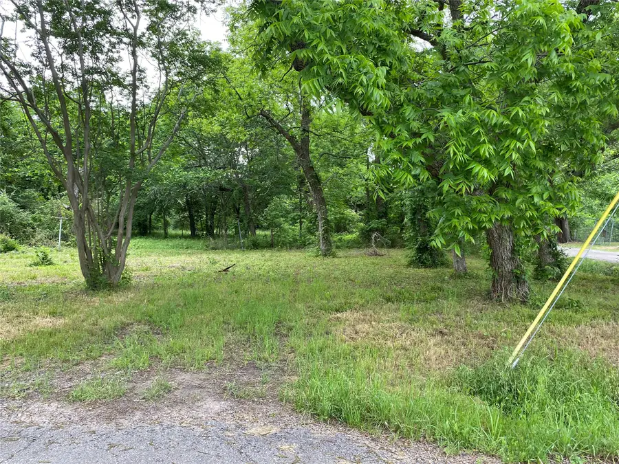102 Elm Street, Bonham, TX 75418 - #3