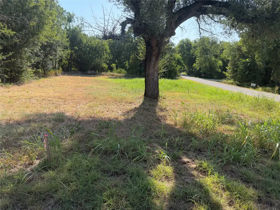 3101 Leo Road, Granbury, TX 76049 - #2