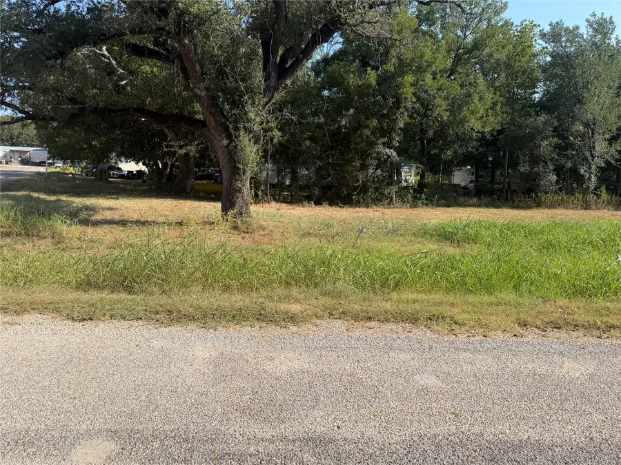 3101 Leo Road, Granbury, TX 76049 - #3