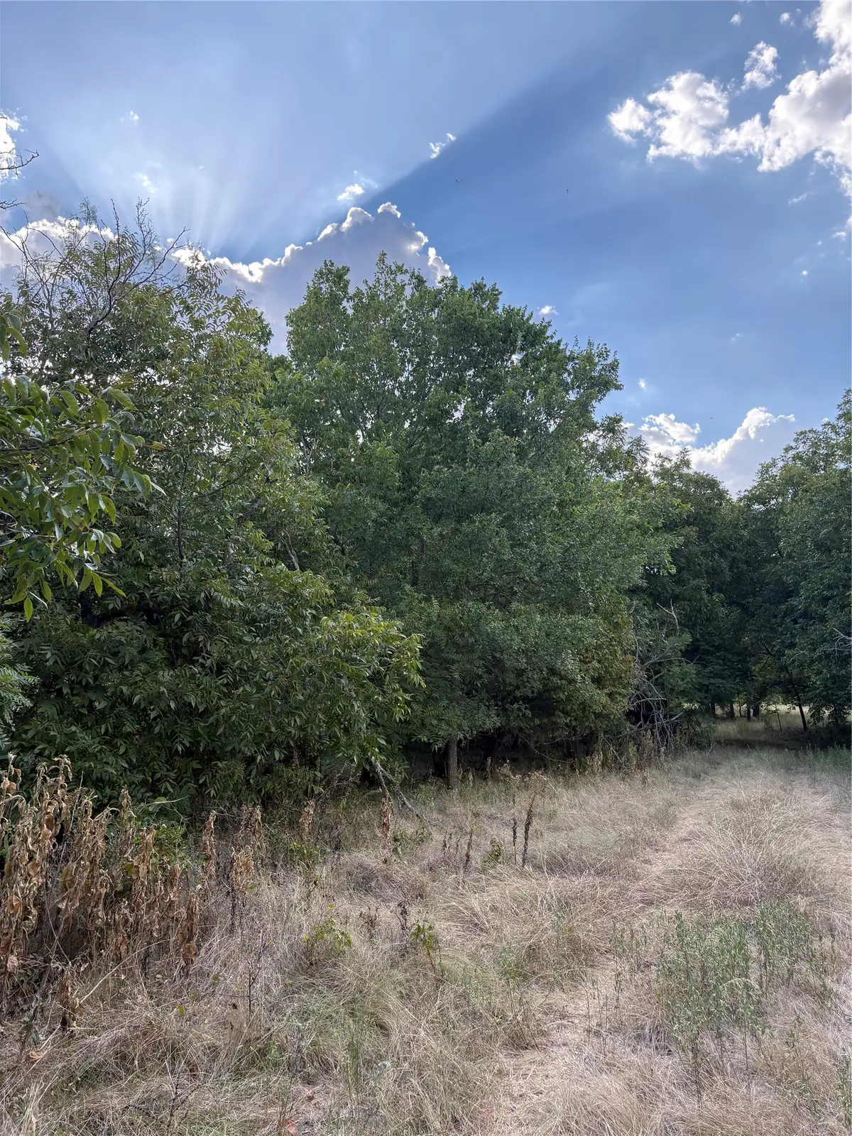 271 Wyatt Road, Jacksboro, TX 76458 - #1
