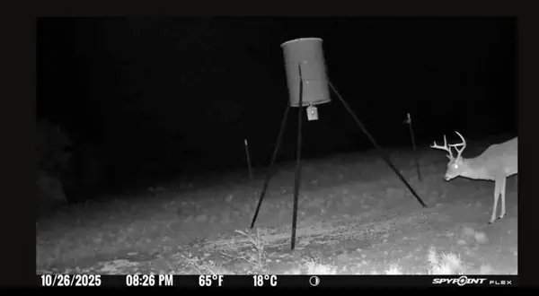 TBD Georgia Pass, Desdemona, TX 76445
