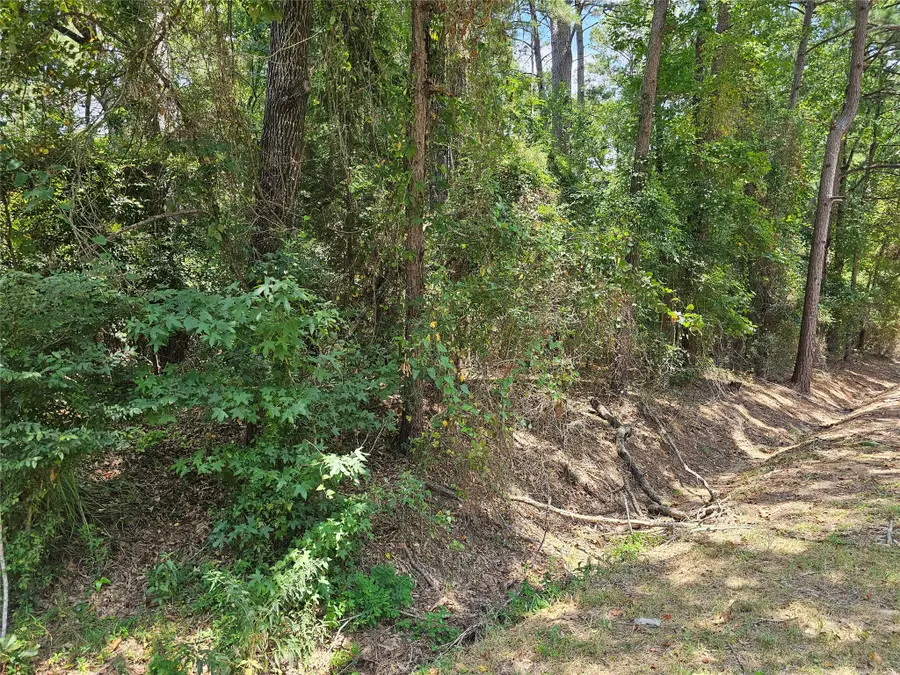 8222 Waterwood Drive, Greenwood, LA 71033 - #2