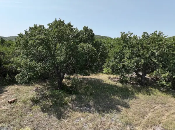 1093 Lemons Gap Road, Tuscola, TX 79562