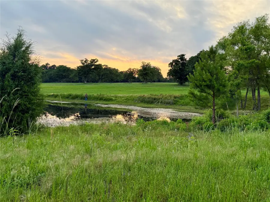 309 Grandview Drive, Athens, TX 75752 - #2