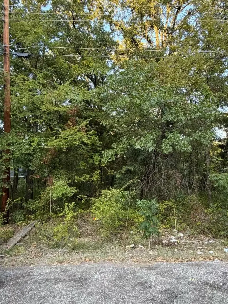 132 Chapperall Drive, Mabank, TX 75156 - #1