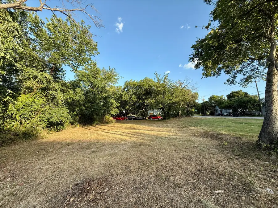 1305 Waterman Street, Fort Worth, TX 76102 - #3