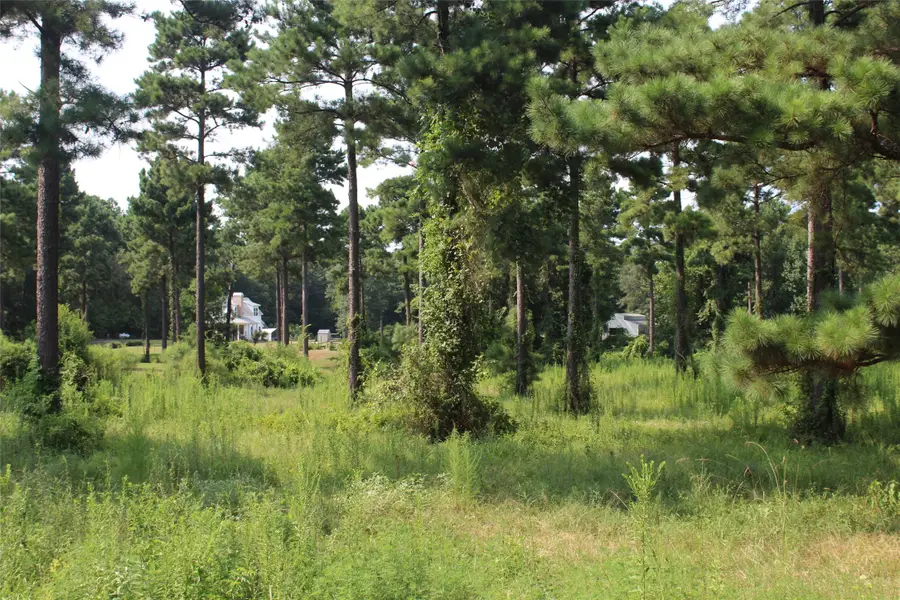 3559 Parish Line Road, Doyline, LA 71023 - #2