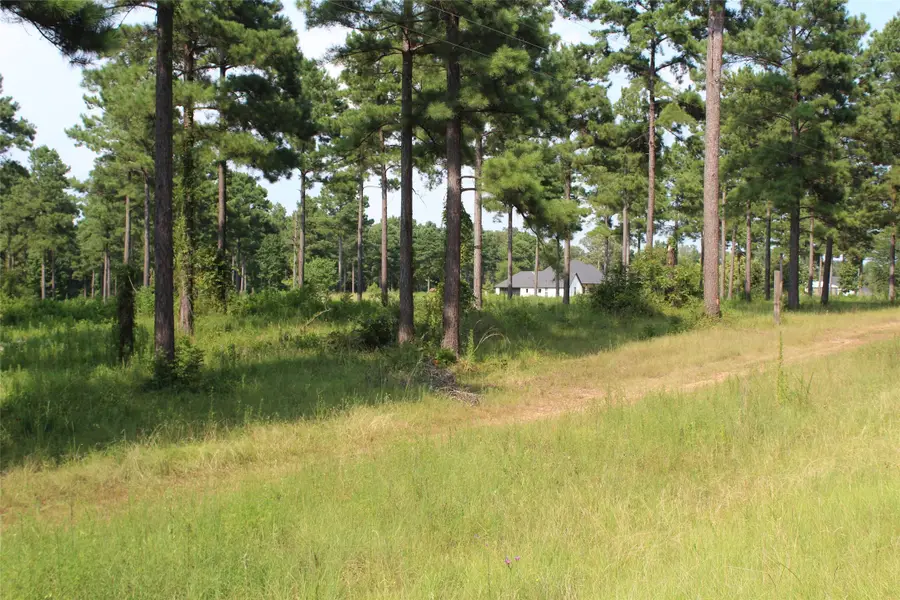 3559 Parish Line Road, Doyline, LA 71023 - #3